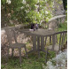 Cadeira de jardim Miami bistrot-4